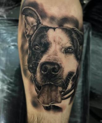 Pies tatuaż noga