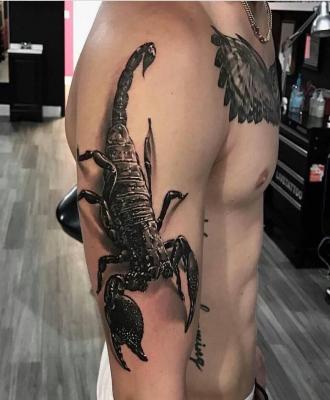 Skorpion tatuaż na ramieniu