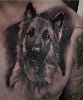 Tatuaż pies owczarek