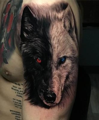 Wilk męski tatuaż na ramieniu