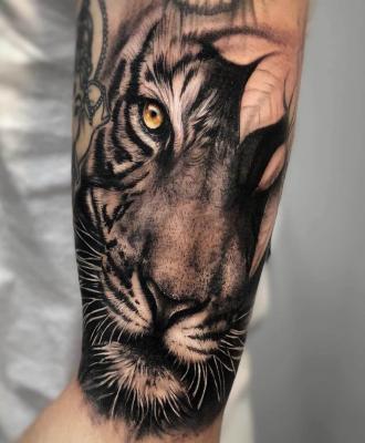 Wspaniały tatuaż tygrys
