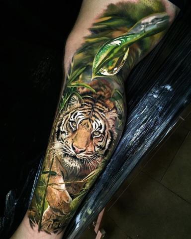 Tatuaż tygrys kolor na nodze